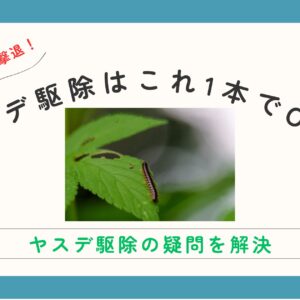 ヤスデの駆除はハイターがおすすめ